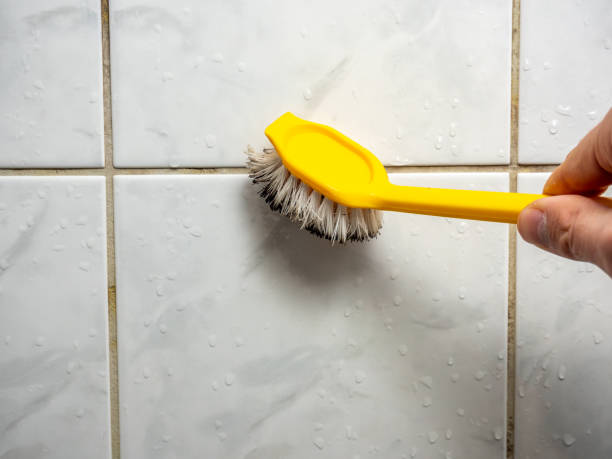 Best Toxic Mold Removal  in Fort Washington, PA