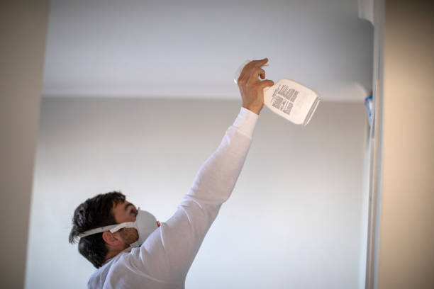 Certified Mold Removal in Fort Washington, PA