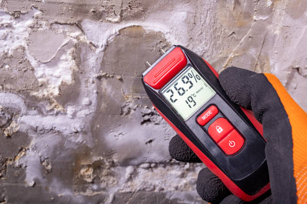 Best Professional Mold Removal  in Fort Washington, PA